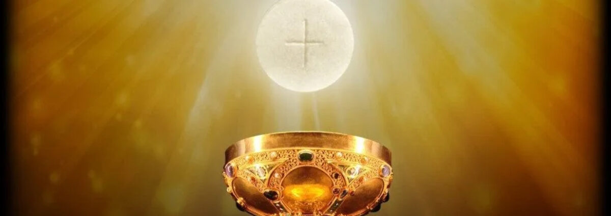 Catholic For A Reason